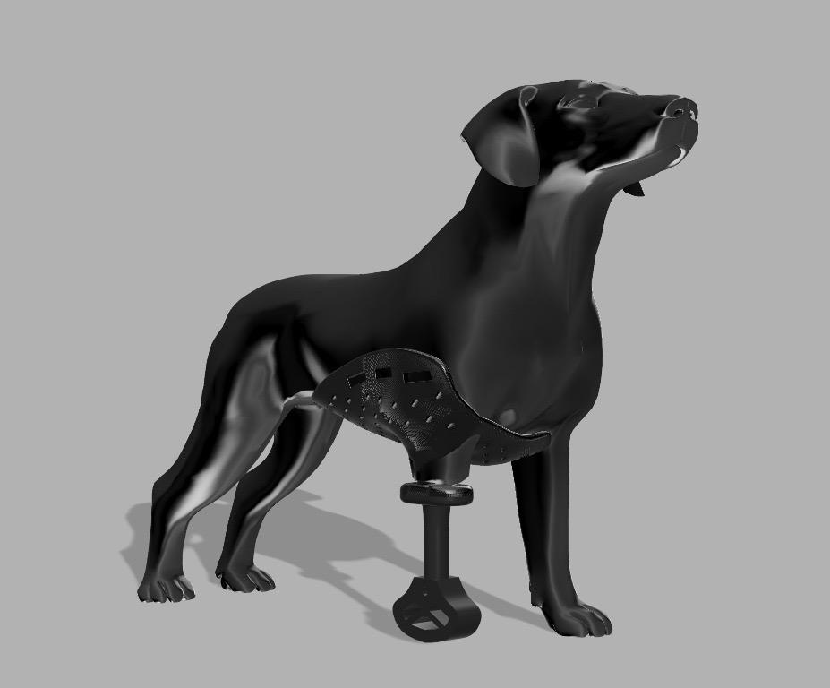 Modelo 3D biomédico NOVAFORTE